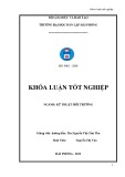 Đồ án tốt nghiệp ngành Kỹ thuật môi trường: Tìm hiểu khả năng xử lý Cu2+ trong nước bằng than củi