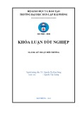 Đồ án tốt nghiệp ngành Kỹ thuật môi trường: Nghiên cứu khả năng hấp thụ Amoni và Phốt phát của cây cói