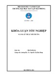 Đồ án tốt nghiệp ngành Kỹ thuật môi trường: Nghiên cứu khả năng xử lý nước thải sản xuất mắm của bãi lọc trồng cây cỏ nến dòng chảy ngang