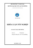 Đồ án tốt nghiệp ngành Kỹ thuật môi trường: Áp dụng chỉ số WQI trong đánh giá biến động nước một số sông, hồ tại Hà Nội