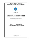 Đồ án tốt nghiệp ngành Kỹ thuật môi trường: Khảo sát khả năng hấp phụ chì trong nước bằng vật liệu xương san hô