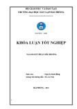 Đồ án tốt nghiệp ngành Kỹ thuật môi trường: Môi trường làng nghề Hải Phòng, những vấn đề bức xúc và giải pháp quản lý môi trường