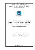 Đồ án tốt nghiệp ngành Kỹ thuật môi trường: Nghiên cứu chế tạo than hoạt tính từ vỏ trấu bằng phương pháp oxy hóa và ứng dụng làm chất hấp phụ trong xử lý nước thải