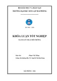 Đồ án tốt nghiệp ngành Kỹ thuật môi trường: Nghiên cứu khả năng xử lý nước thải sản xuất mắm của bãi lọc trồng cây sậy dòng chảy ngang