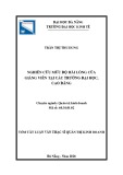 Tóm tắt luận văn Thạc sĩ Quản trị kinh doanh: Nghiên cứu mức độ hài lòng của Giảng viên tại các trường Đại học, Cao đẳng