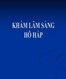 Bài giảng Khám lâm sàng hô hấp