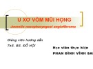 Bài thuyết trình U xơ vòm mũi họng – Phan Đình Vĩnh Sai