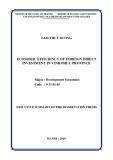 Executive summary of PhD Dissertation thesis: Economic efficiency of foreign direct investment in Vinh Phuc province