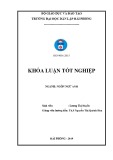 Graduation course of English language sector: A study on how to improve english skill for the first year English major students in Hai Phong private university