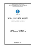 Khóa luận tốt nghiệp ngành Tài chính - Ngân hàng: Các giải pháp mở rộng tín dụng tại Ngân Hàng OCB – Chi Nhánh Hải Phòng