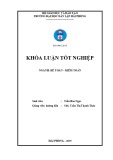 Luận văn Thạc sỹ ngành Kế toán - Kiểm toán: Hoàn thiện công tác kế toán hàng hóa tại công ty cổ phần thương mại đầu tư Tân Hương