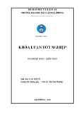 Khóa luận tốt nghiệp ngành Kế toán - Kiểm toán: Hoàn thiện tổ chức kế toán doanh thu, chi phí và xác định kết quả kinh doanh tại Công ty cổ phần đầu tư và Khai Khoáng Việt Nam