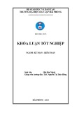 Khóa luận tốt nghiệp ngành Kế toán - Kiểm toán: Hoàn thiện công tác kế toán nguyên vật liệu tại Công ty TNHH  Quang Hải