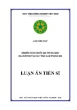 Luận án Tiến sĩ: Nghiên cứu chuỗi giá trị cá ngừ đại dương tại các tỉnh Nam Trung Bộ