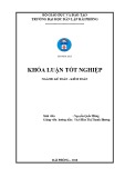 Khóa luận tốt nghiệp Kế toán - Kiểm toán: Hoàn thiện công tác lập và phân tích Bảng cân đối kế toán tại Công ty Trách nhiệm Hữu hạn Hoàng Thụy