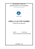 Khóa luận tốt nghiệp Kế toán - Kiểm toán: Hoàn thiện công tác lập và phân tích bảng cân đối kế toán tại Công ty TNHH vận tải Duyên Hải