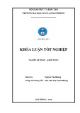 Khóa luận tốt nghiệp Kế toán - Kiểm toán: Hoàn thiện công tác lập và phân tích Bảng cân đối kế toán tại  Công ty Cổ phần Dịch vụ và Xuất nhập khẩu Vinh Phát