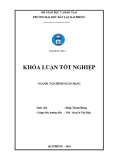 Khóa luận tốt nghiệp Tài chính - Ngân hàng: Nâng cao chất lượng hoạt động tín dụng tại Ngân hàng chính sách xã hội Huyện An Dương