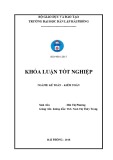 Khóa luận tốt nghiệp ngành Kế toán - Kiểm toán: Hoàn thiện công tác kế toán doanh thu, chi phí và xác định KQKD tại Công ty TNHH vận tải dịch vụ và thương mại Quang Doanh