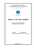 Khóa luận tốt nghiệp Kế toán - Kiểm toán: Hoàn thiện công tác kế toán doanh thu, chi phí và xác định kết quả kinh doanh tại công ty Cổ phần Vận tải xăng dầu VIPCO