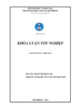 Khóa luận tốt nghiệp Kế toán - Kiểm toán: Hoàn thiện công tác kế toán doanh thu, chi phí và xác định kết quả kinh doanh tại công ty cổ phần giám định và logistic VIETTEC