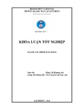 Khóa luận tốt nghiệp Marketing: Hoàn thiện chiến lược xúc tiến hỗn hợp trong hoạt động Marketing cho dịch vụ giao nhận vận tải đường biển tại Công ty TNHH thương mại vận tải KNL Việt Nam