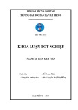 Khóa luận tốt nghiệp Kế toán - Kiểm toán: Hoàn thiện công tác kế toán doanh thu, chi phí và xác định kết quả kinh doanh tại Công ty TNHH thương mại VIC