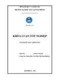 Khóa luận tốt nghiệp Kế toán - Kiểm toán: Hoàn thiện công tác lập và phân tích Bảng cân đối kế toán tại Công ty Cổ phần Xăng dầu Dầu khí PVOIL Hải Phòng