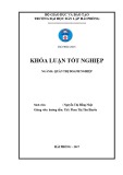 Khóa luận tốt nghiệp Quản trị doanh nghiệp: Một số biện pháp nhằm cải thiện tình hình tài chính của công ty TNHH Thương mại Điện tử Hàng Hải Việt Nam