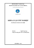 Khóa luận tốt nghiệp Quản trị doanh nghiệp: Một số biện pháp nhằm nâng cao hiệu quả sử dụng nguồn nhân lực tại Công ty TNHH Sơn Trường