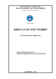 Khóa luận tốt nghiệp Kế toán - Kiểm toán: Hoàn thiện công tác kế toán hàng hóa tại công TNHH thương mại Long Hải VN