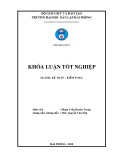 Khóa luận tốt nghiệp Kế toán - Kiểm toán: Hoàn thiện công tác kế toán hàng hóa tại Công ty Nhị Sơn