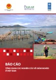 Báo cáo tổng quan các nghiên cứu về giảm nghèo ở Việt Nam