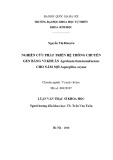 Luận văn thạc sĩ Khoa học: Nghiên cứu phát triển hệ thống chuyển gen bằng vi khuẩn Agrobacterium tumefaciens cho nấm sợi Aspergillus oryzae