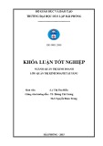 Luận văn ngành Quản trị kinh doanh: Thực trạng hoạt động marketing và một số giải pháp nhằm nâng cao hiệu quả hoạt động marketing tại công ty TNHH Tâm Chiến