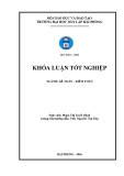 Khóa luận tốt nghiệp Kế toán - Kiểm toán: Hoàn thiện công tác kế toán nguyên vật liệu tại Công ty Cổ phần Lisemco 2