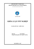 Khóa luận tốt nghiệp Kế toán - Kiểm toán: Hoàn thiện công tác kế toán hàng hóa tại Công ty TNHH Thương mại sản xuất Thủy Linh