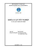 Khóa luận tốt nghiệp Quản trị doanh nghiệp: Chiến lược marketing nhằm mở rộng thị trường tiêu thụ sản phẩm thép tại Công Ty Cổ Phần Công Nghệ và Thương Mại Trang Khanh