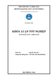 Khóa luận tốt nghiệp Kế toán - Kiểm toán: Hoàn thiện công tác kế toán doanh thu, chi phí và xác định kết quả kinh doanh tại Công ty Cổ phần SIVICO