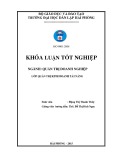 Khóa luận tốt nghiệp Quản trị doanh nghiệp: Phân tích tài chính và một số biện pháp cải thiện tình hình tài chính tại công ty Cổ phần Công nghệ và Thương mại Trang Khanh