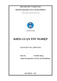 Khóa luận tốt nghiệp Kế toán - Kiểm toán: Hoàn thiện tổ chức kế toán vốn bằng tiền tại Công ty TNHH Phúc Thịnh