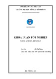 Khóa luận tốt nghiệp Kế toán - Kiểm toán: Hoàn thiện tổ chức kế toán hàng hóa tại Công ty TNHH An Phúc Thịnh