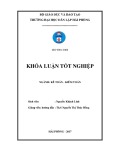 Khóa luận tốt nghiệp Kế toán - Kiểm toán: Hoàn thiện công tác kế toán hàng hóa tại Công ty Cổ phần Vật tư Nông nghiệp I Hải Phòng