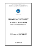 Khóa luận tốt nghiệp Quản trị kinh doanh: Một số giải pháp nâng cao hiệu quả sử dụng nguồn nhân lực tại Khách sạn Level thuộc Công Ty CP Đầu tư & Du lịch LV