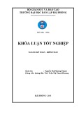 Khóa luận tốt nghiệp Kế toán - Kiểm toán: Hoàn thiện tổ chức kế toán thanh toán tại Công ty trách nhiệm hữu hạn thương mại Song Thắng