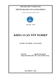 Khóa luận tốt nghiệp Tài chính ngân hàng: Một số giải pháp nhằm nâng cao hiệu quả sử dụng vốn  tại Công ty cổ phần VILACO