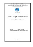 Khóa luận tốt nghiệp Kế toán - Kiểm toán: Hoàn thiện công tác kế toán doanh thu, chi phí và xác định kết quả kinh doanh tại Công ty TNHH Sơn Cường