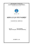 Khóa luận tốt nghiệp Kế toán - Kiểm toán: Hoàn thiện tổ chức kế toán doanh thu, chi phí và xác định kết quả kinh doanh tại Công ty Cổ phần Thương mại Dịch vụ Xuất nhập khẩu Phúc Lâm