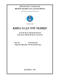 Khóa luận tốt nghiệp Quản trị kinh doanh: Một số giải pháp marketing nhằm tăng doanh thu của khách sạn Level thuộc công ty cổ phần đầu tư và du lịch LV Hải Phòng