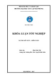 Khóa luận tốt nghiệp ngành Kế toán - Kiểm toán: Hoàn thiện tổ chức kế toán doanh thu, chi phí và xác định kết quả kinh doanh tại Công ty TNHH HAPACO H.P.P